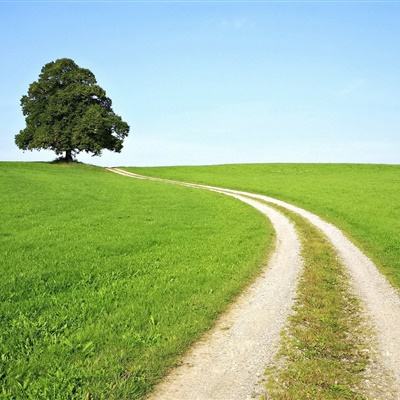 大众彩票app最新版下载截图