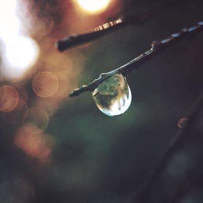 bat365官网登录入口下载手机版