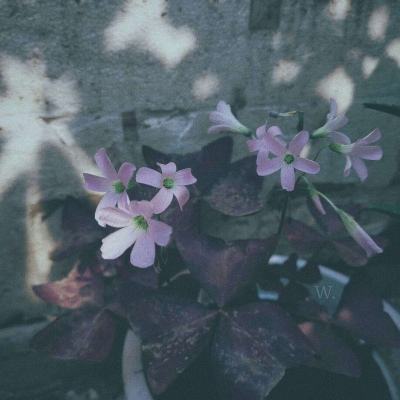 Kaiyun网页版在线登录入口截图