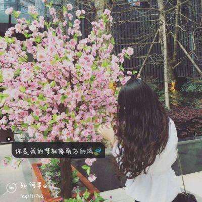 万博ManBetX手机注册截图