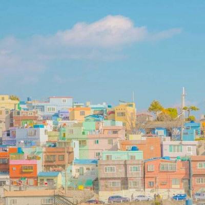 万博ManBetX手机注册截图